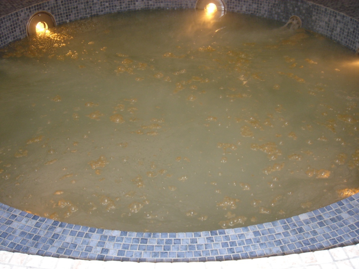 過酸化水素投入後.jpg